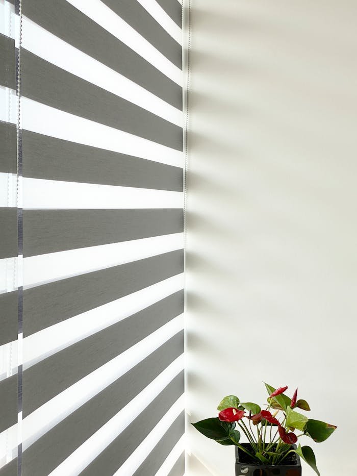 A minimalist indoor room featuring striped window blinds and a potted Anthurium plant on a white wall.